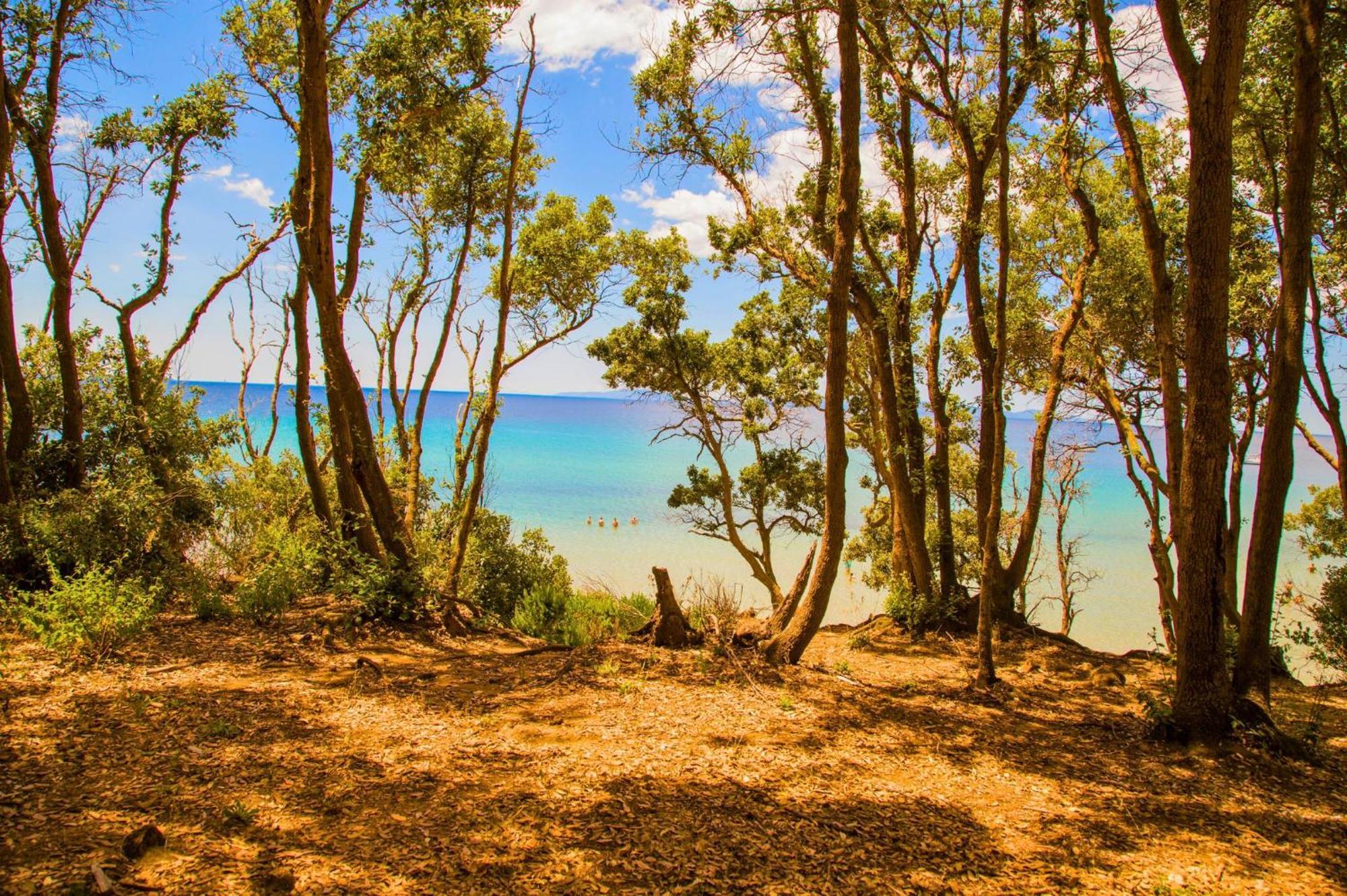 Oasimaremma Village Scarlino Dış mekan fotoğraf