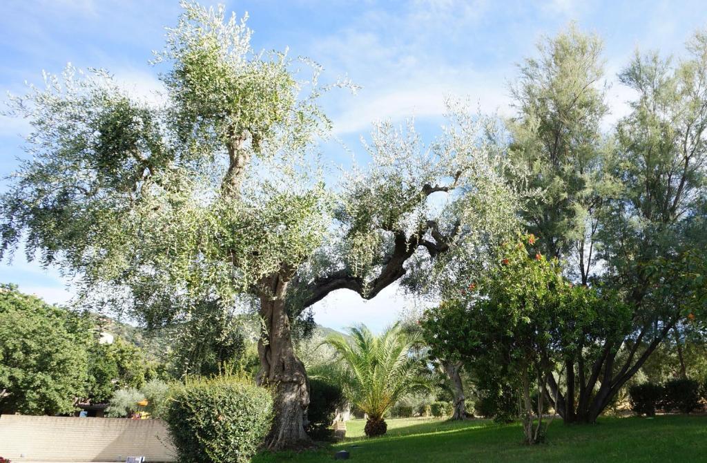 Oasimaremma Village Scarlino Dış mekan fotoğraf